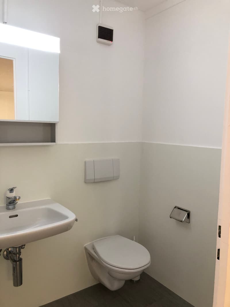 Modern, compact bathroom with a white sink, chrome faucet, toilet, mirror, and cabinet. Light-colored walls and dark flooring.