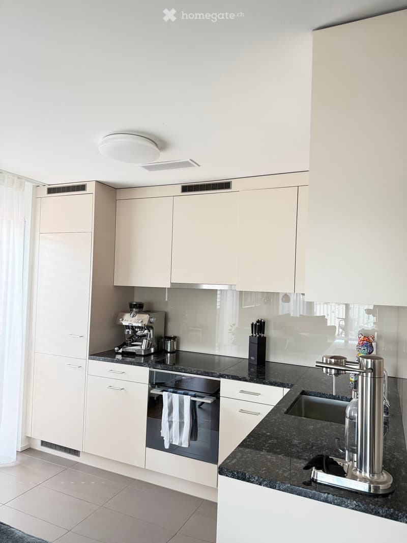 Modern kitchen with white cabinets, dark granite countertops, stainless steel appliances, and a built-in oven with towels hanging from the handle.