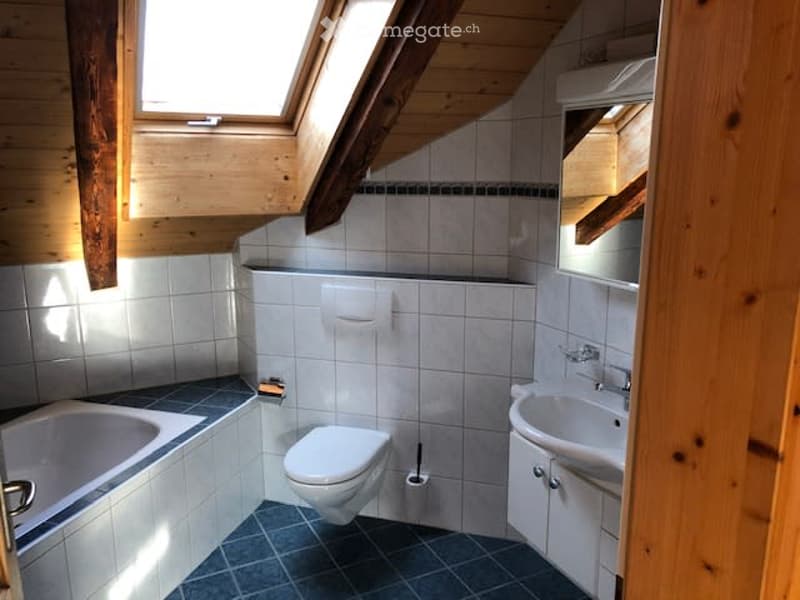 dachwohnung mit charme (11)