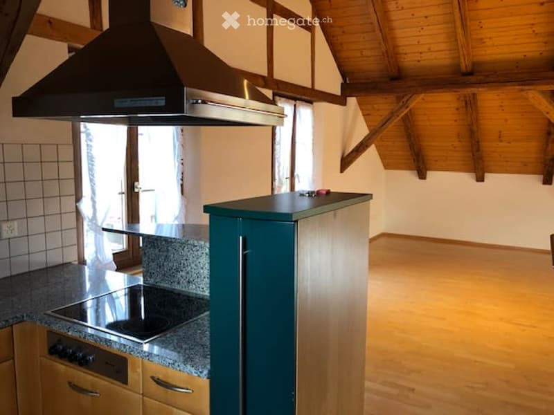 dachwohnung mit charme (10)