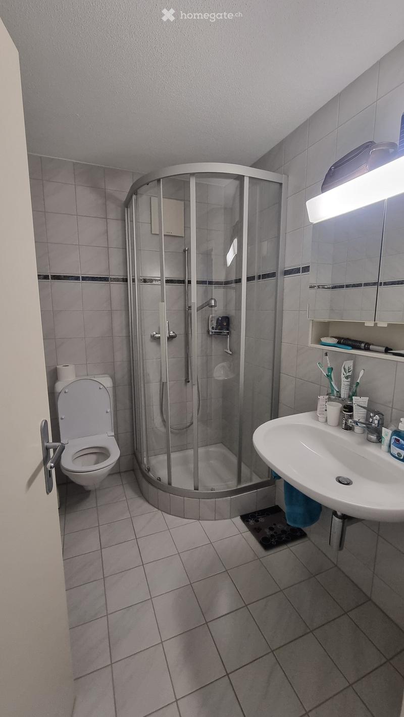Modern bathroom with a toilet, sink, and walk-in shower with glass enclosure. The sink has a mirror above it and various toiletries on the counter. The shower has a modern design with a glass door and a built-in seat.