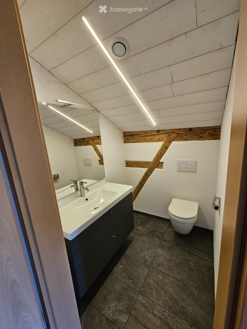 Modern bathroom with a double sink, sleek faucet, large mirror, toilet, and dark wooden cabinet.