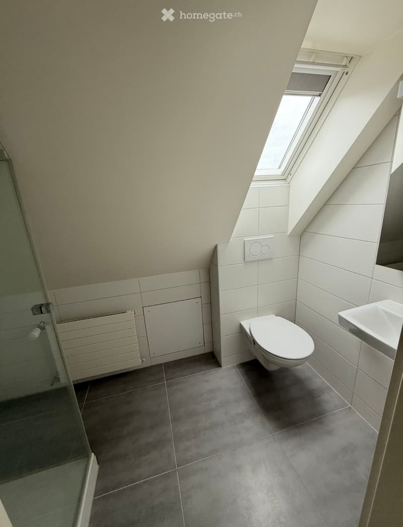 Modern bathroom with grey tiles, white toilet, sink, and a skylight window providing natural light.