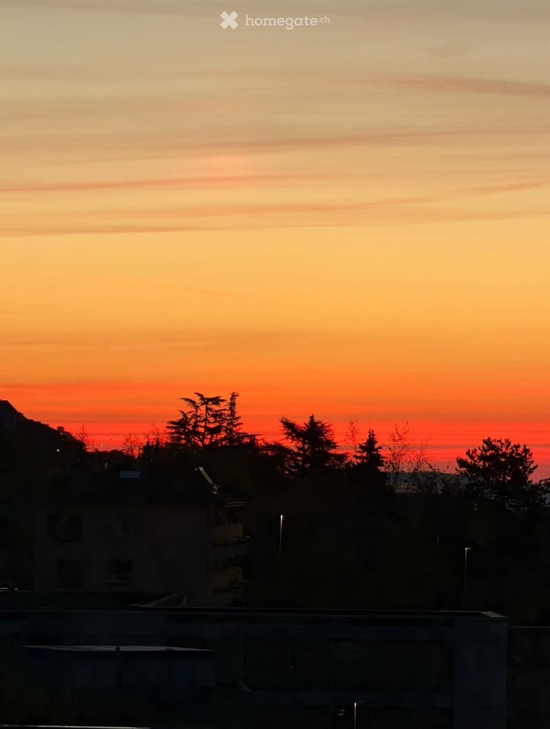 View of a cityscape at sunset, with silhouettes of trees and buildings against a vibrant orange and pink sky.