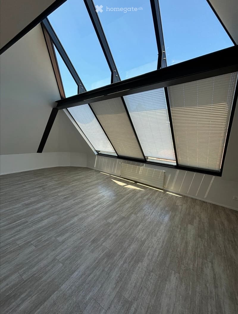 Empty room with wooden flooring and large skylight windows allowing natural light to fill the space.