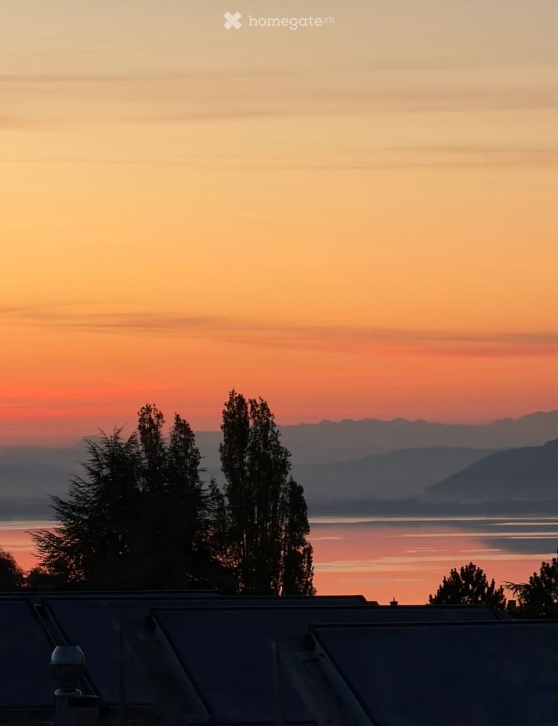 View from a rooftop terrace at sunset, showing a body of water, distant mountains, and silhouettes of trees.