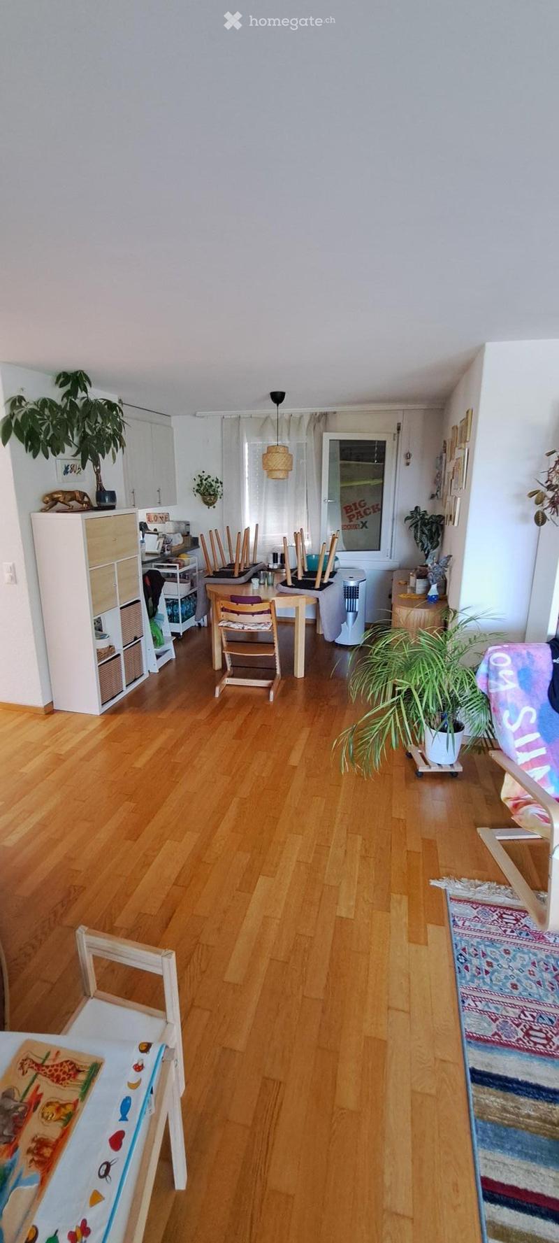 A well-lit living space with wooden flooring, a mix of modern and traditional furniture, and several potted plants. The room features a dining area with a table and chairs, a cabinet, and a cozy seating area with a sofa and a colorful rug.