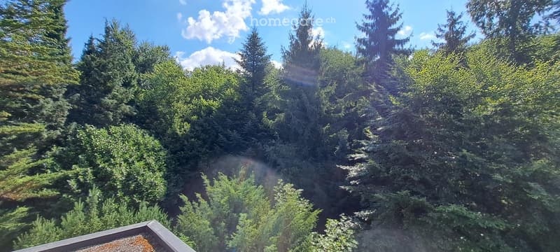 A lush, green garden area with tall trees and shrubs, viewed from a rooftop or elevated position. The scene is bright and sunny with a clear blue sky and scattered clouds.