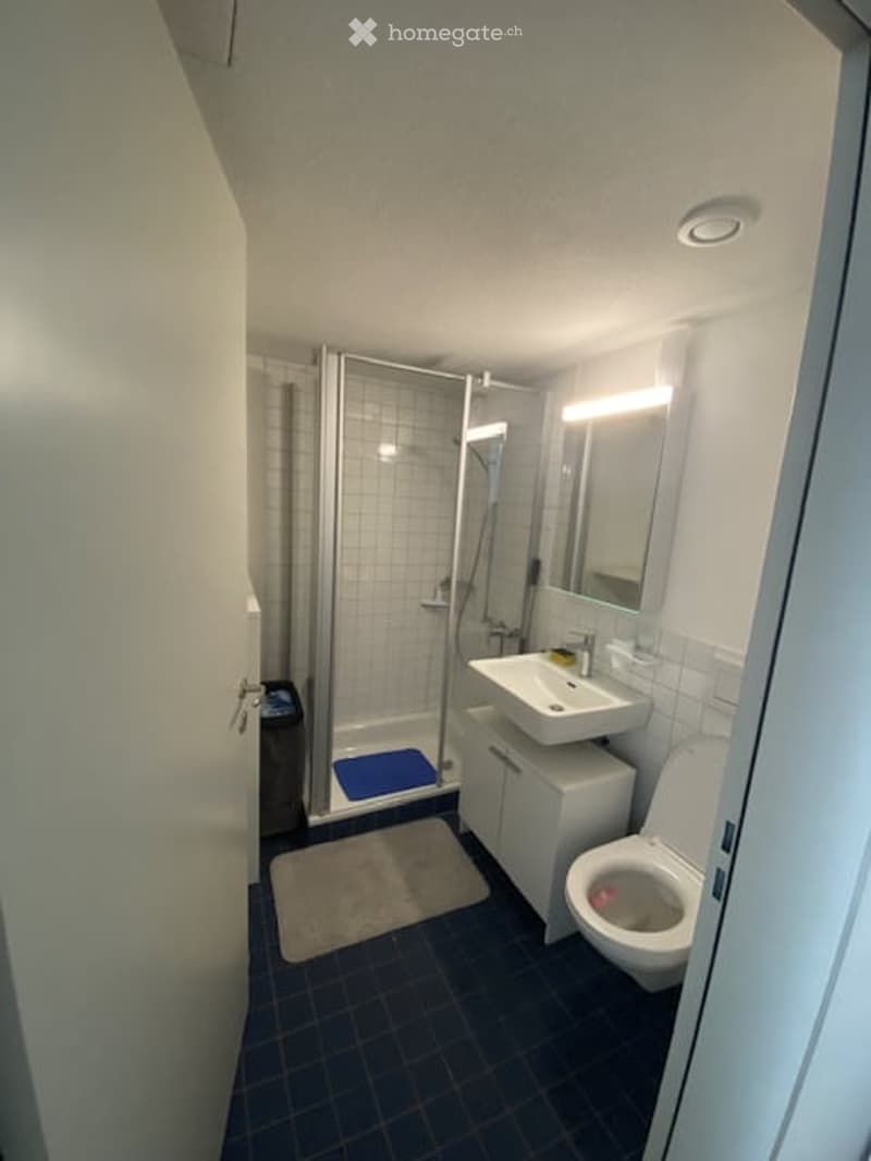 Modern bathroom with a white sink, toilet, shower, and mirror. Blue bath mat on the floor.