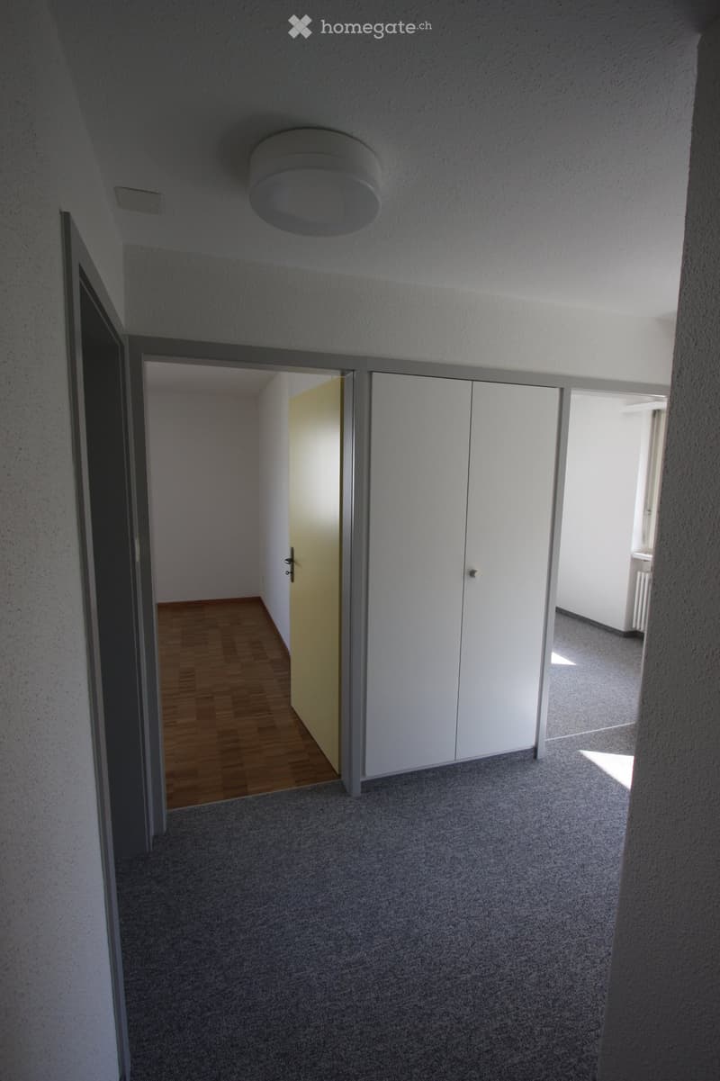 Empty hallway with carpeted floor, white walls, and a closed white closet door. A wooden floor area is visible through an open doorway on the left.
