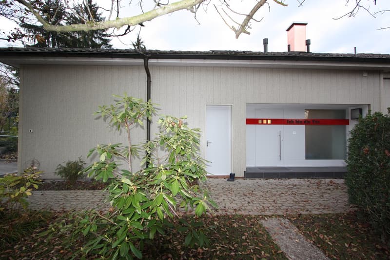 Modern single-story house with a flat roof, white facade, and minimalist design. Features include a large glass door entrance, a small garden area with shrubs and a tree, and a paved pathway leading to the entrance.