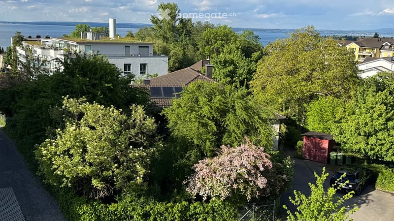 Aerial view of a residential area with multiple houses, lush greenery, and a body of water in the background.