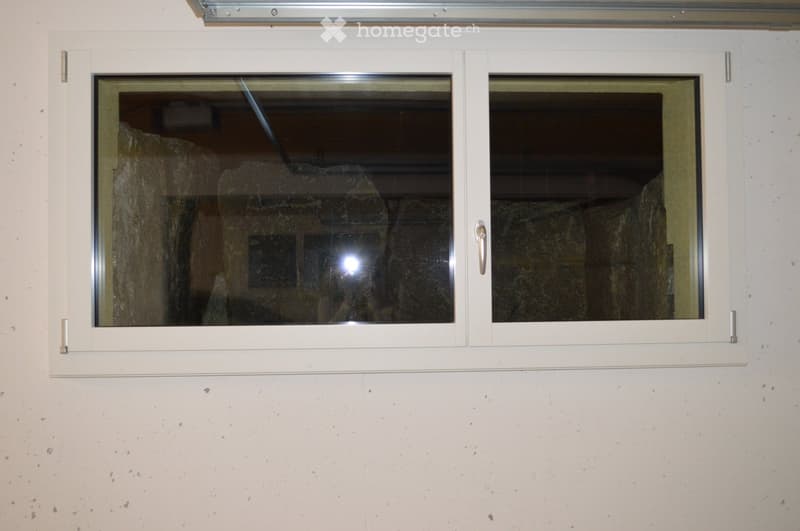 White double-hinged window with reflective glass panels, mounted on a light-colored wall.