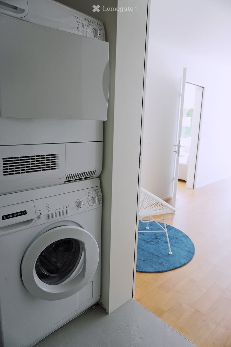A small, well-lit room with a washing machine, a white chair, and a blue rug visible in the background.