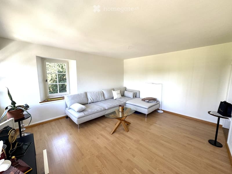 Modern living room with light grey sectional sofa, glass coffee table, wooden flooring, and a potted plant near the window.