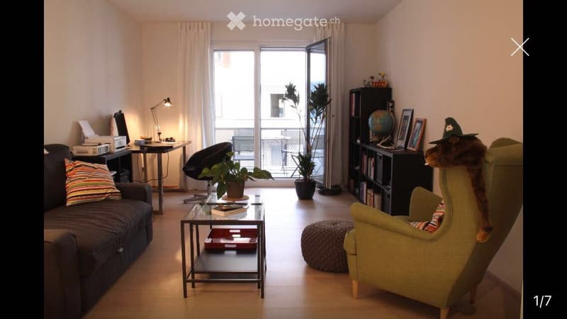 A cozy living room with a grey sofa, a green armchair, a coffee table, a small table with a lamp, a bookshelf, and potted plants. The room has large windows with white curtains and a view of a balcony area.