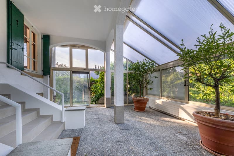 Bright, airy indoor-outdoor space with large glass walls and a high, slanted glass roof. Features a polished stone floor, two large potted trees, a staircase leading up, and a view of greenery outside.