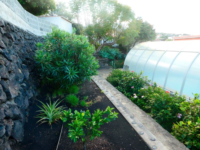 A well-maintained garden with various plants, a stone wall, and a greenhouse in the background.