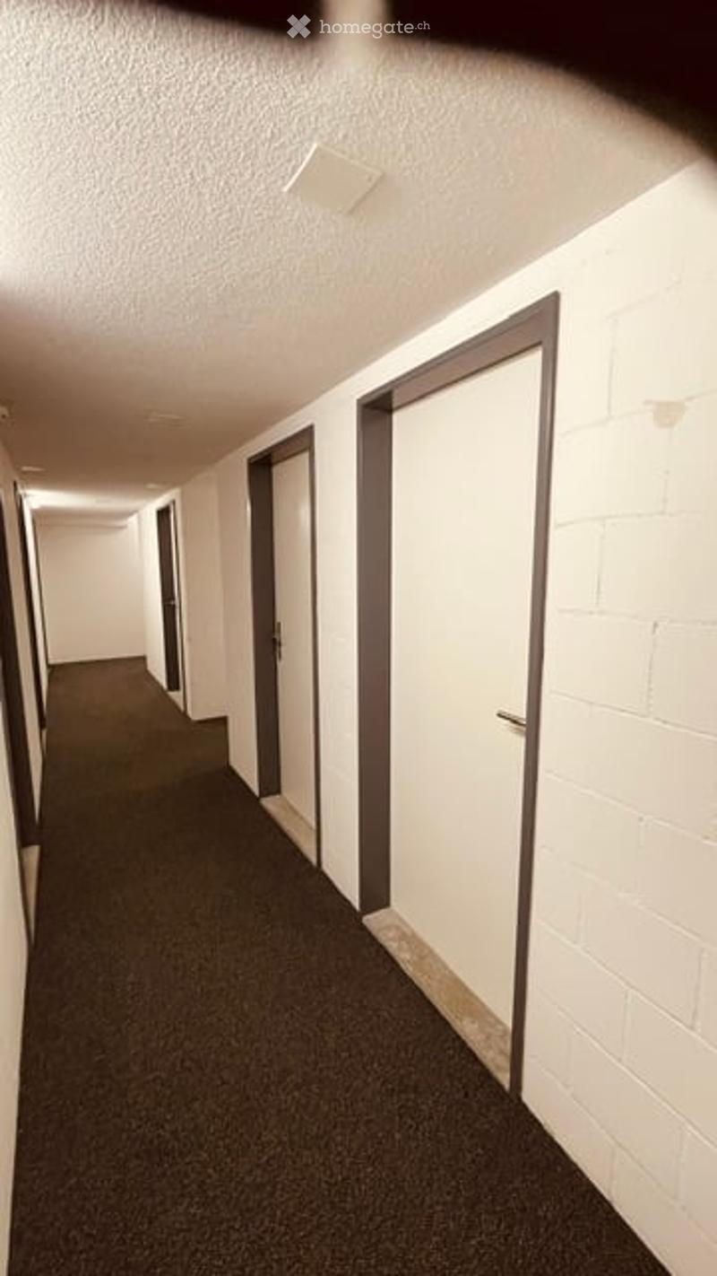 A long, narrow hallway with white walls, dark carpeted floor, and multiple closed doors on both sides.
