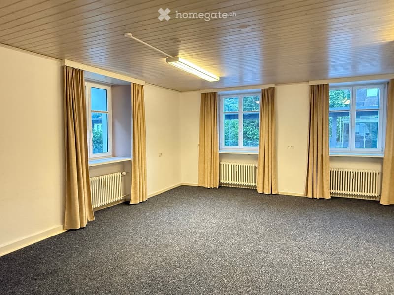 Empty room with beige walls, carpeted floor, three windows with curtains, radiators, and a ceiling light fixture.