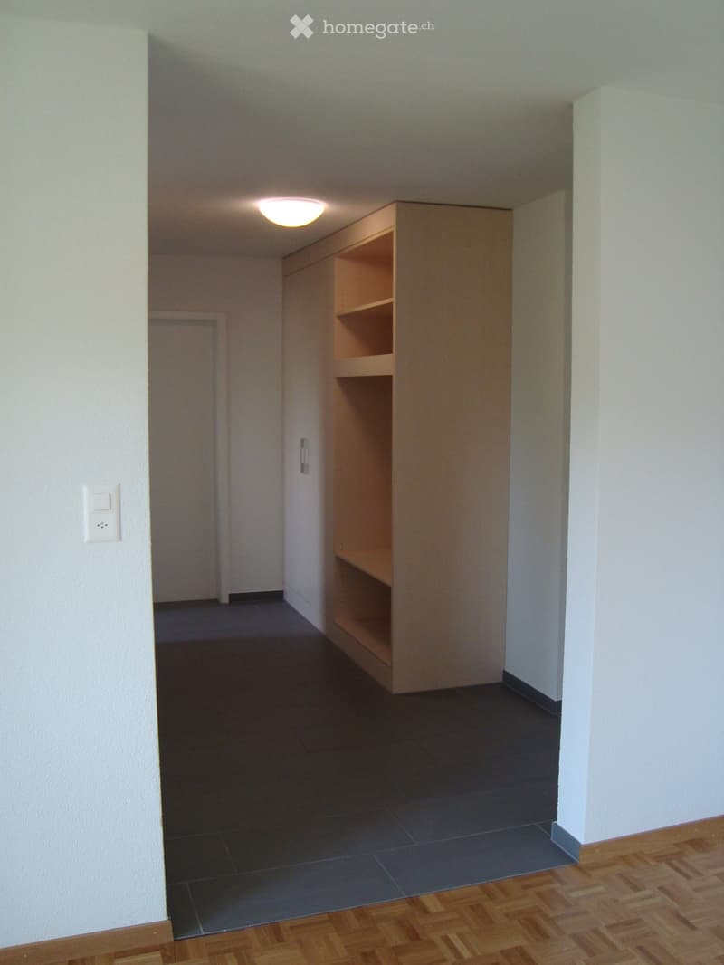 Empty hallway with white walls, dark tiled floor, wooden flooring in the foreground, and a built-in wooden shelf unit with open compartments.