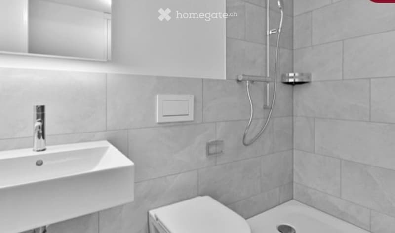 Modern bathroom with a white sink, chrome faucet, mirror, toilet, and a showerhead with a handheld sprayer.