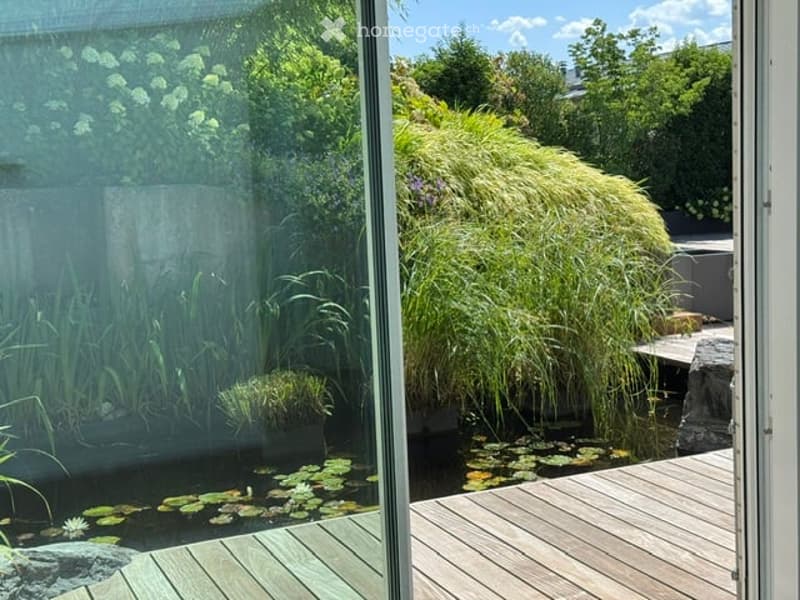 A modern garden area with a wooden deck, a small pond with lily pads, lush greenery, and tall grasses.