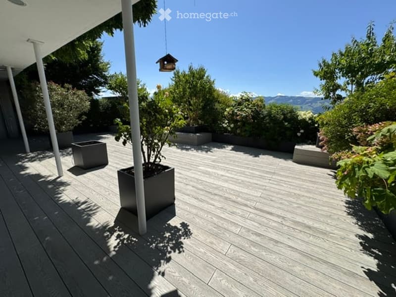 Modern outdoor patio with wooden decking, potted plants, and a view of mountains in the background.