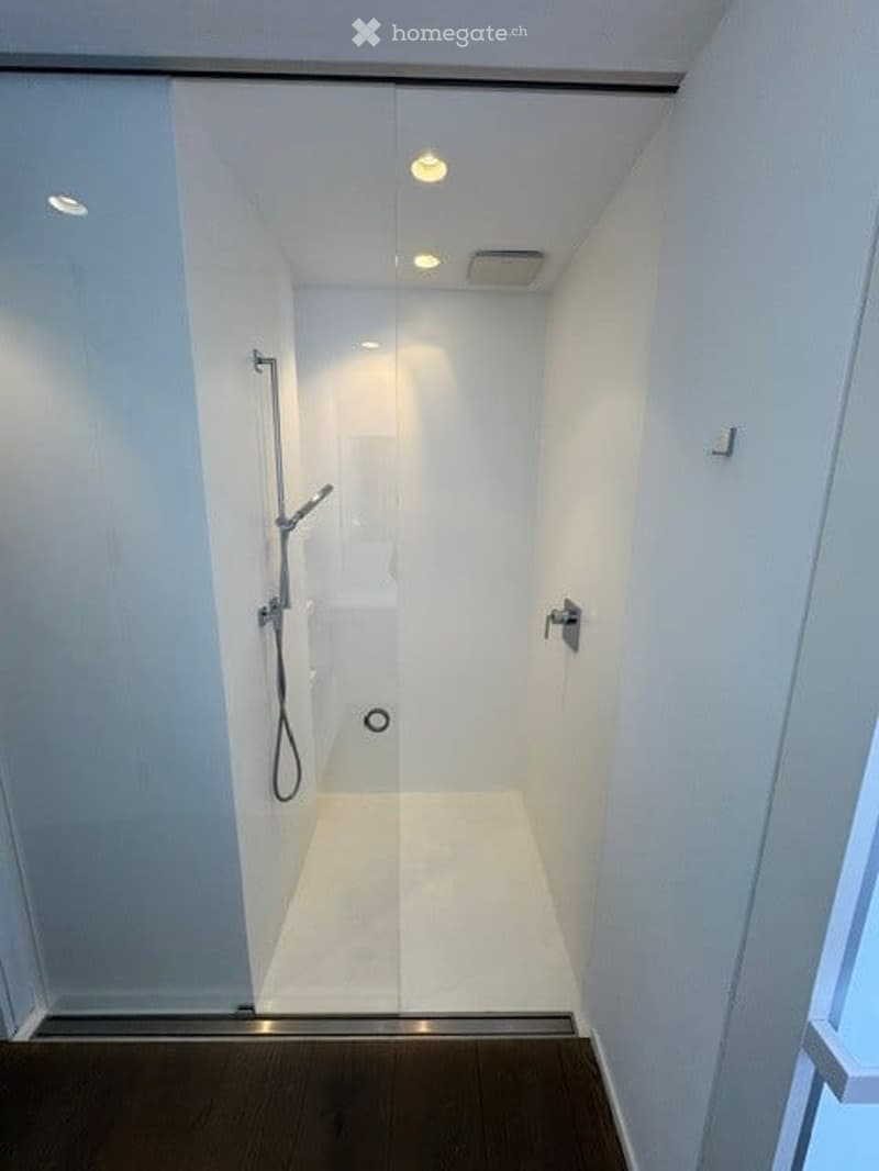 Modern, minimalist shower stall with a glass door, sleek shower handle, and recessed lighting.