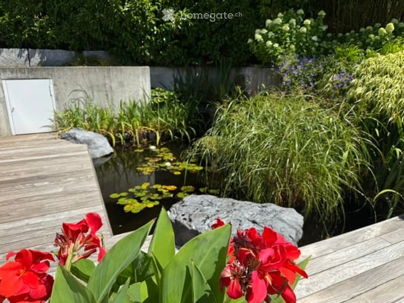 Garden area with a small pond, water lilies, tall grasses, and red flowers in the foreground.