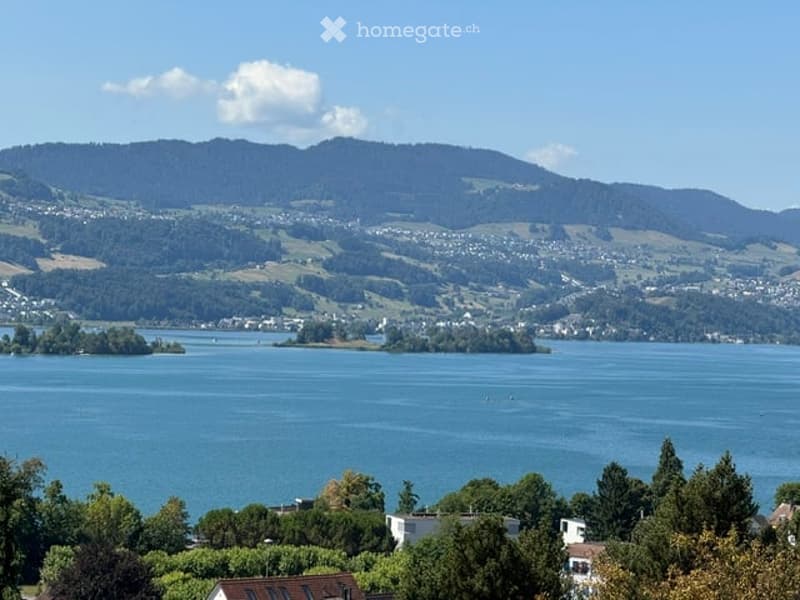 Panoramic view of a lake surrounded by green hills and scattered houses, with a clear blue sky and distant mountains.