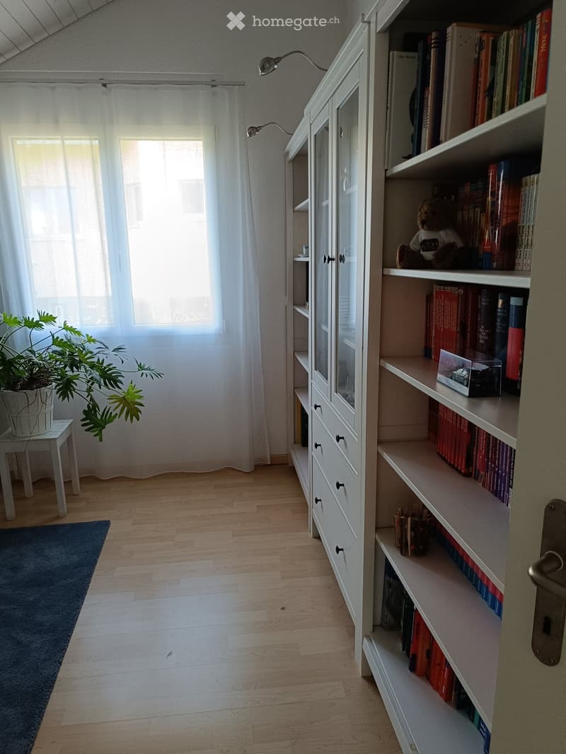 Bright hallway with wooden flooring, white built-in cabinetry, bookshelves, small table with plant, and a blue rug.