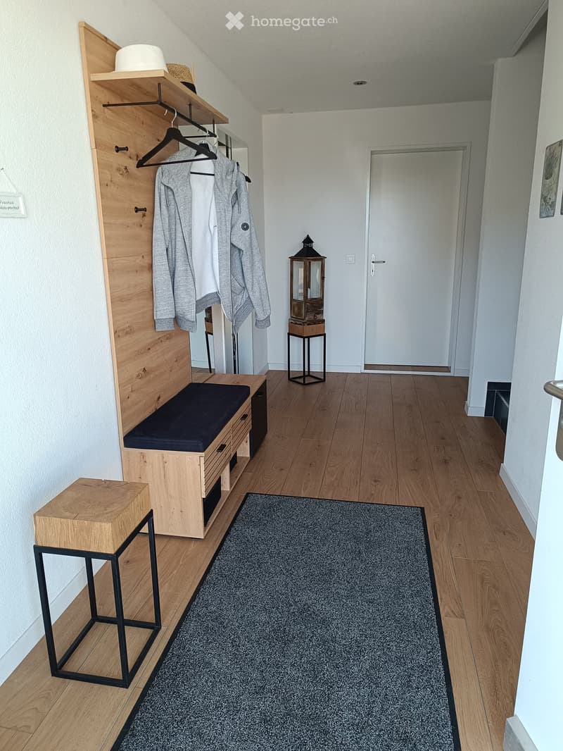 Modern hallway with wooden flooring, a built-in coat rack, a bench, a lantern-style lamp, and a small rug.
