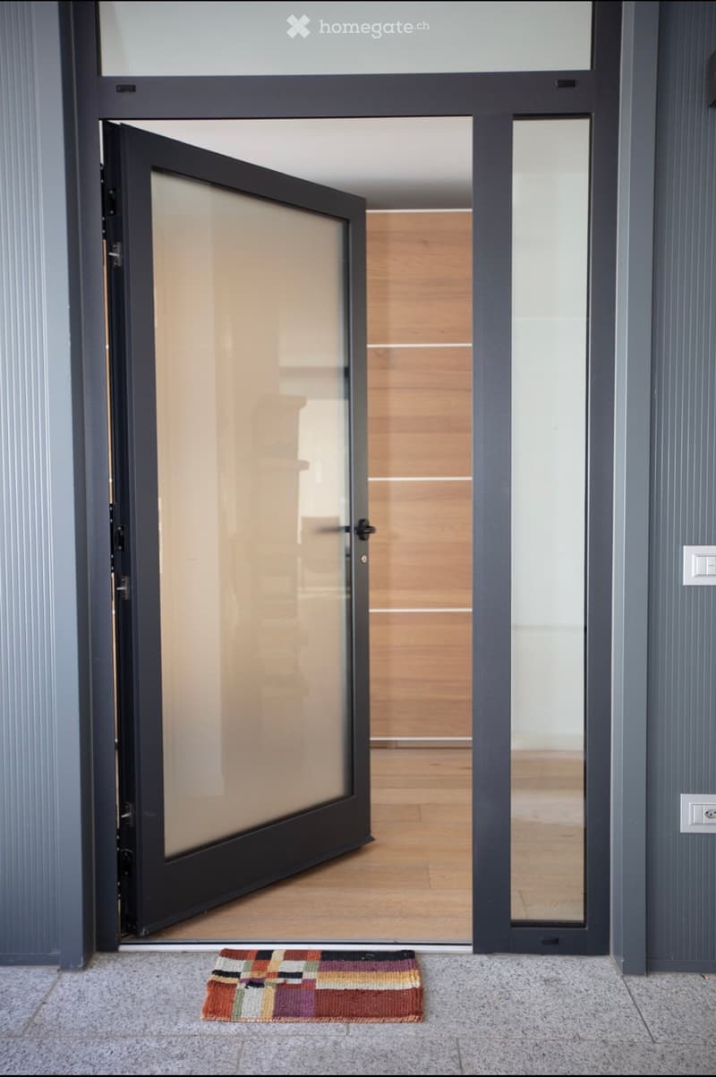Modern entrance door with glass panels, black frame, wooden floor, decorative rug