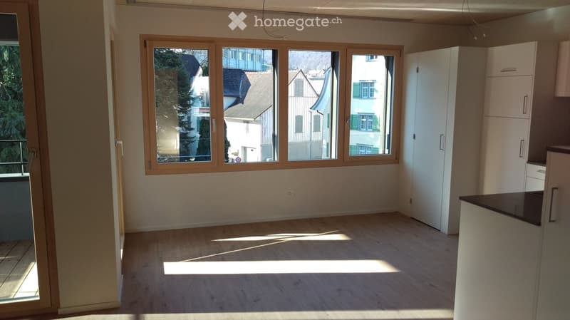 Empty room, large window, balcony, wooden floor, cabinets