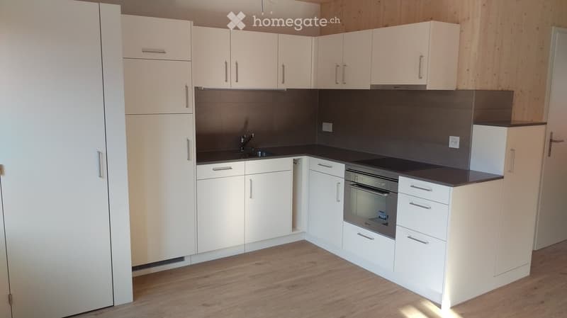 modern white kitchen with wooden floors, modern appliances, sink, gas stove, oven