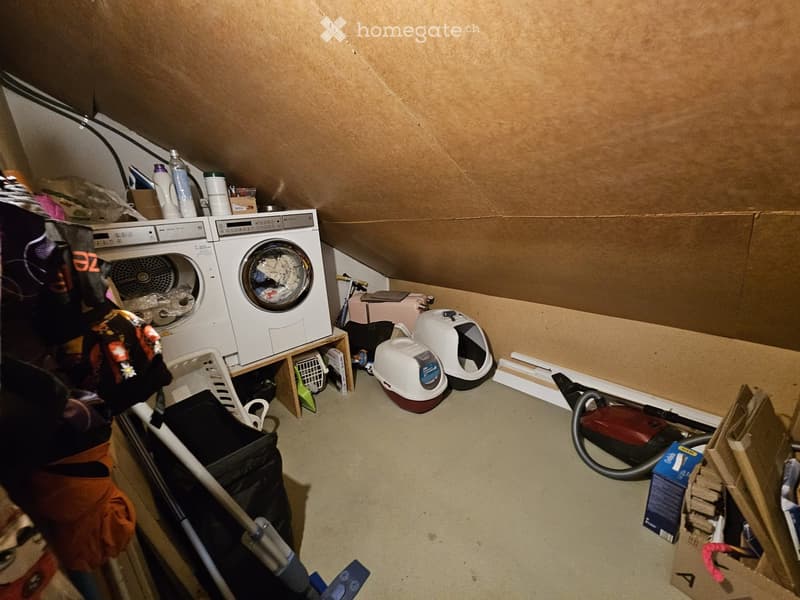 Attic space with a private washing machine, cat litter boxes, vacuum cleaner, laundry basket, and various cleaning supplies and storage boxes.