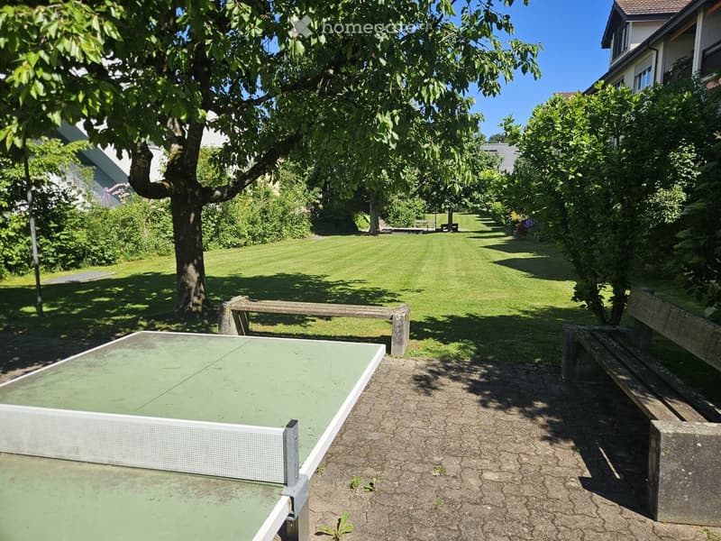 A well-maintained garden with a large lawn, trees, benches, and a ping pong table on a paved area.