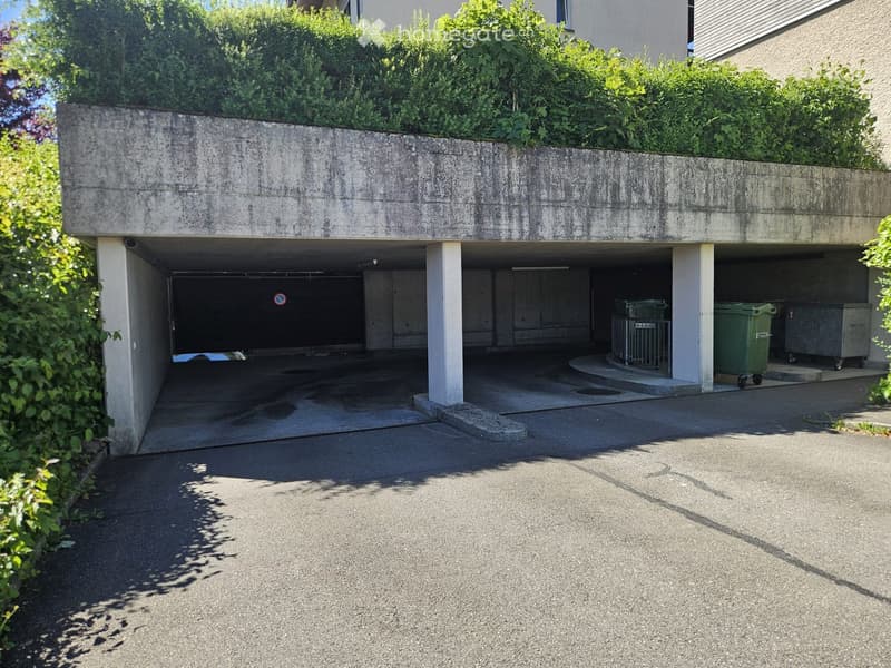 Underground garage with multiple parking spaces, concrete pillars, and greenery on the roof.