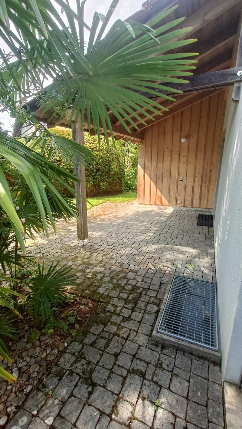 A paved outdoor area with a wooden shed, surrounded by lush greenery and palm leaves. The ground is covered with interlocking stone tiles, and there is a metal grate near the wall.