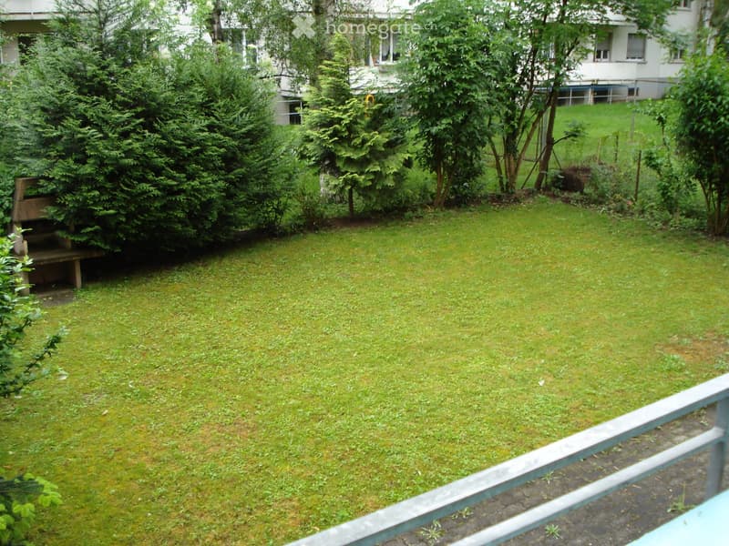 A grassy garden area with trees and shrubs, bordered by a metal railing and a wooden bench, with a building visible in the background.