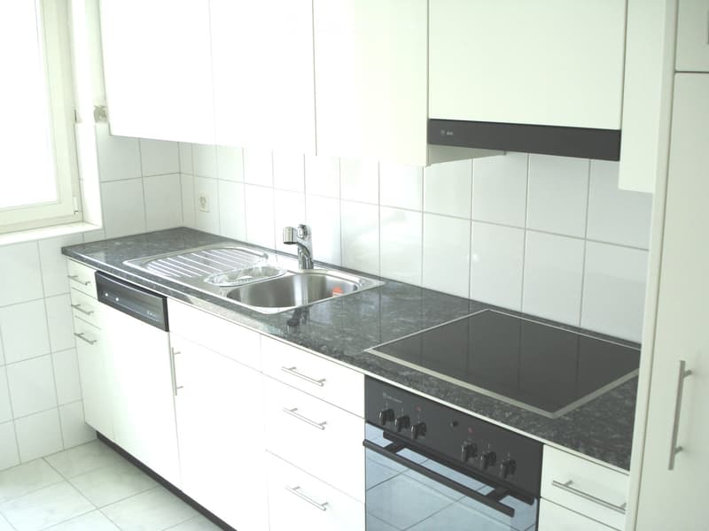 Modern kitchen with white cabinets, granite countertop, stainless steel sink, induction cooktop, and built-in oven and dishwasher.