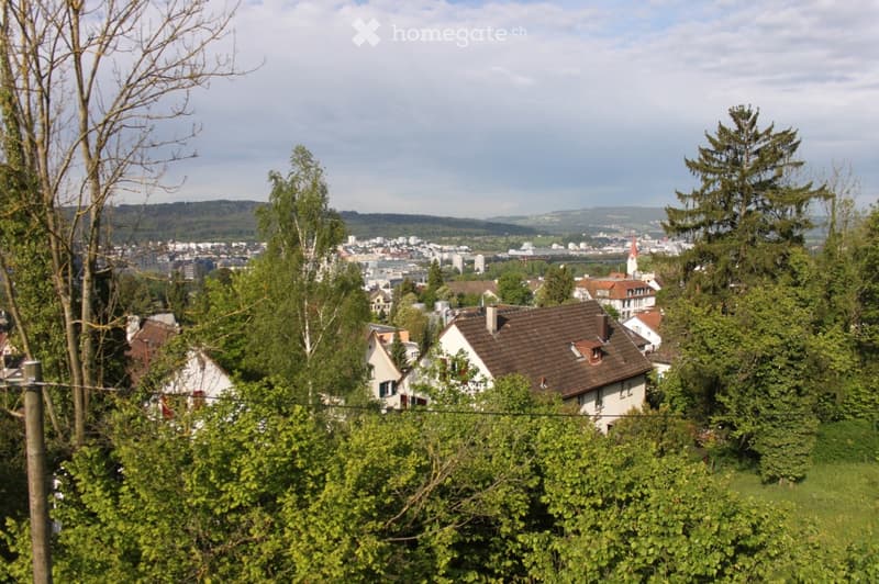 A panoramic view of a suburban neighborhood with houses, trees, and a distant cityscape under a partly cloudy sky.