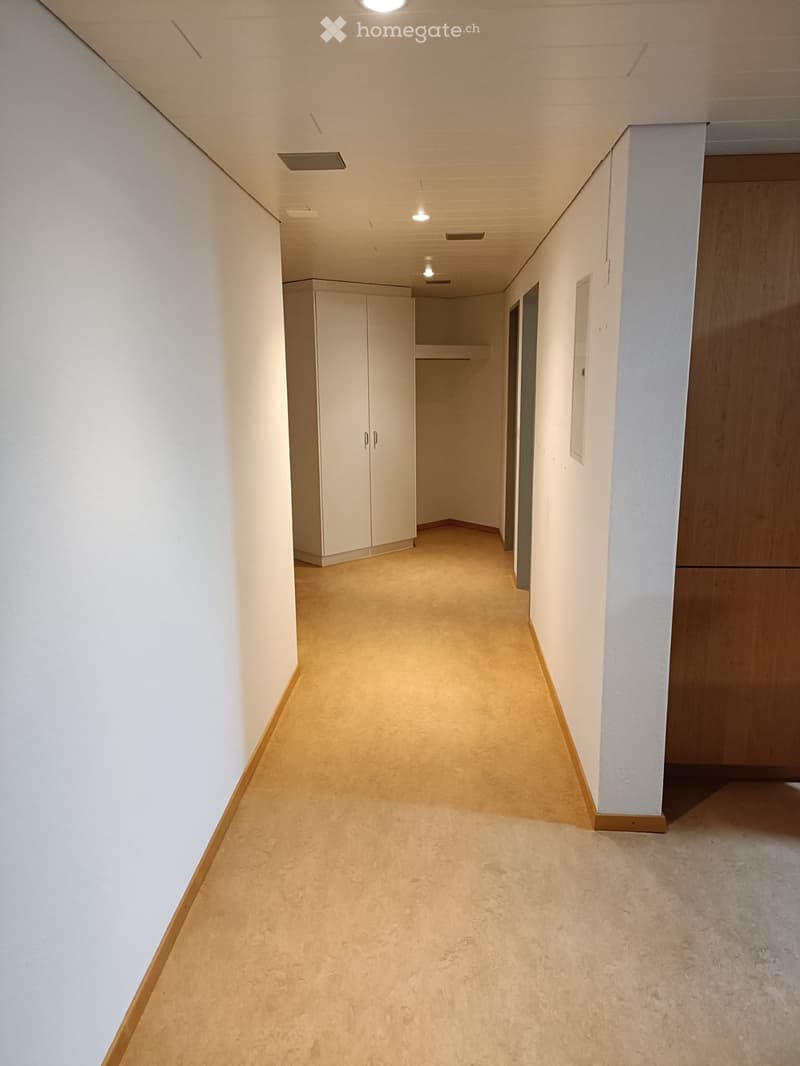 empty hallway with beige carpet, white walls, two white cabinets, and light fixtures