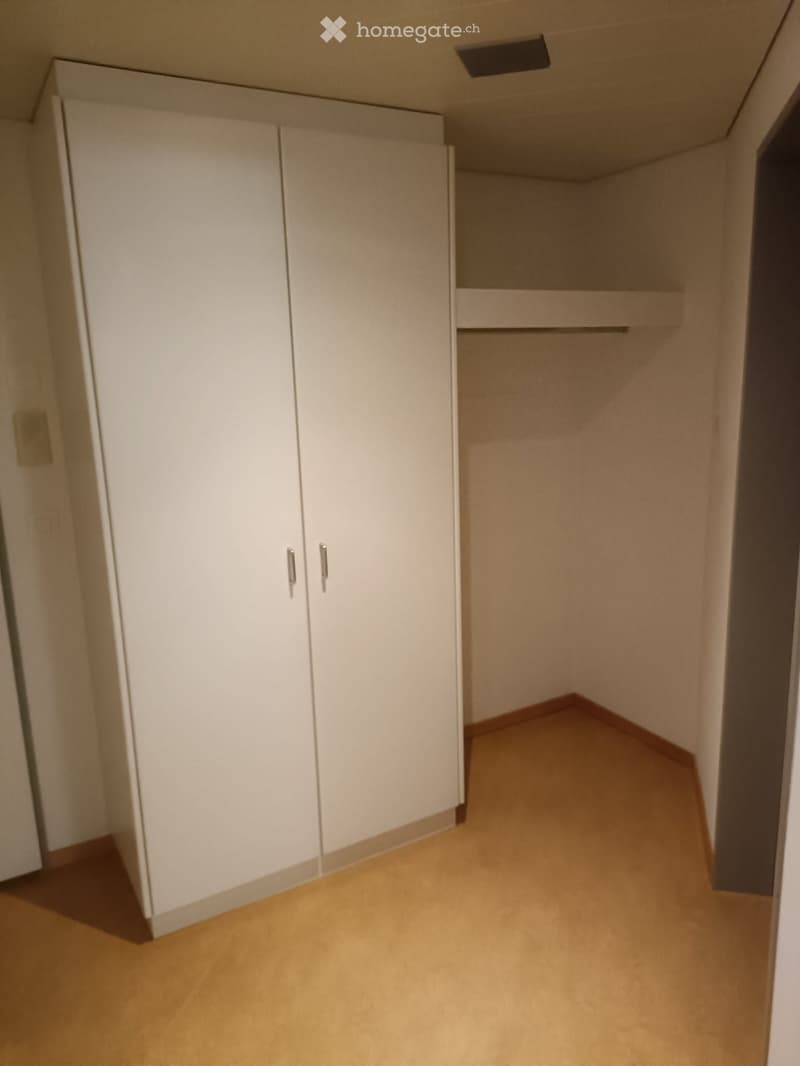 A corner closet with two doors in a corner of a room with wooden flooring.