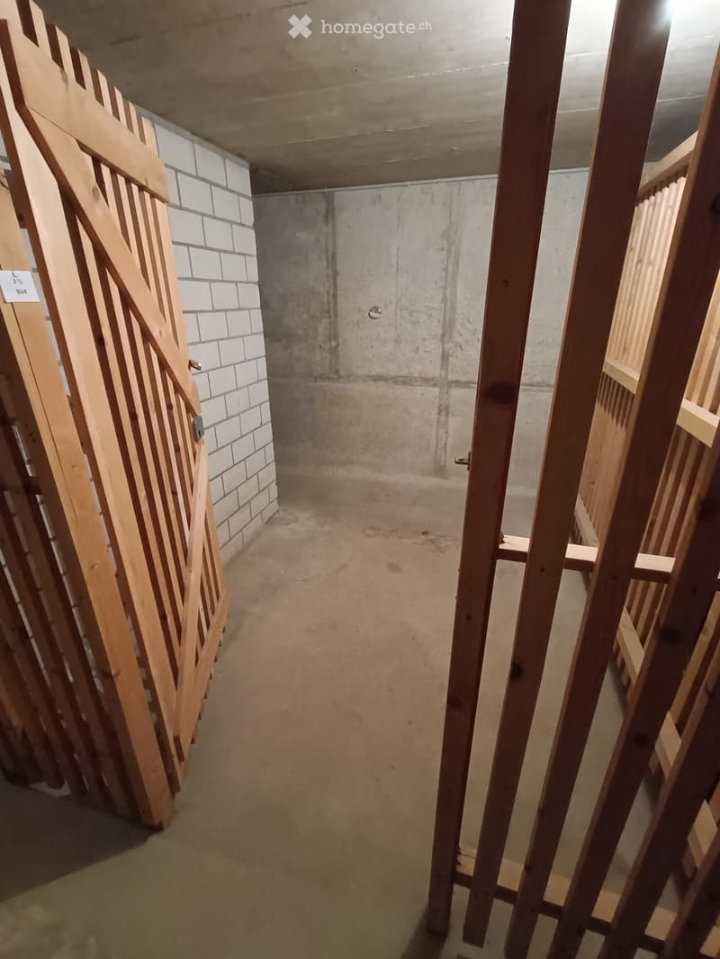 Storage room, wooden doors, white brick wall, concrete floor, empty room