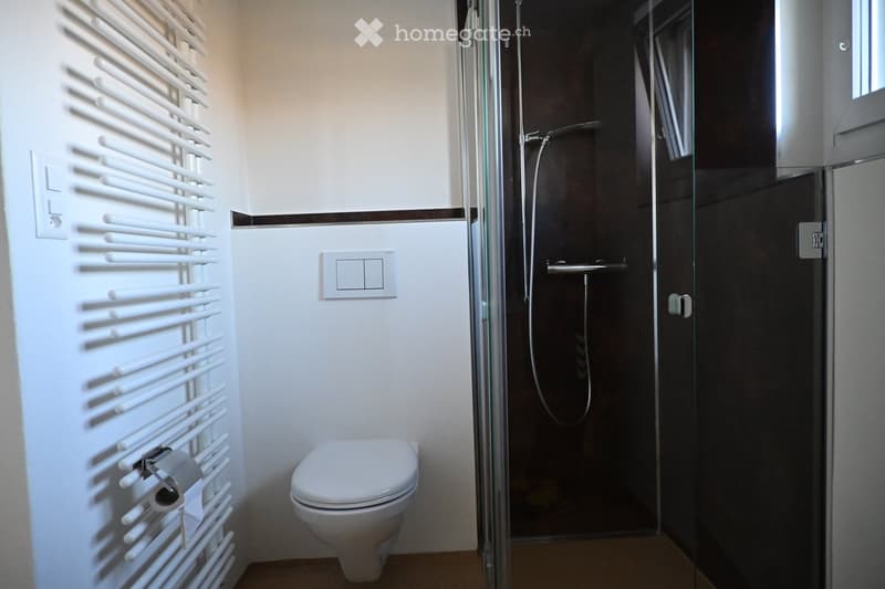 Modern bathroom with a toilet, glass-enclosed shower, white radiator, and a toilet paper holder.