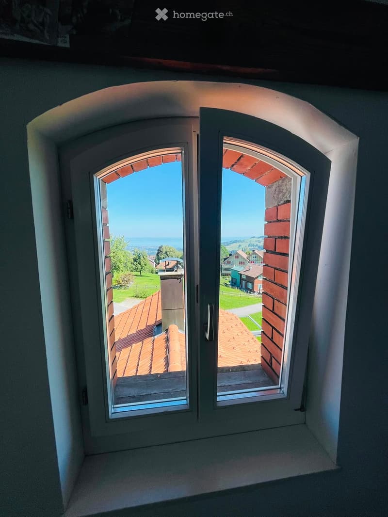 Arched window opening to a view of a roof and surrounding landscape with houses and greenery.