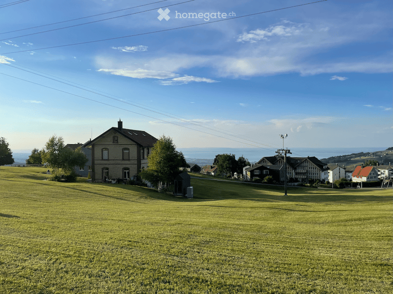 A grassy field with a house in the background, surrounded by trees and a clear blue sky.