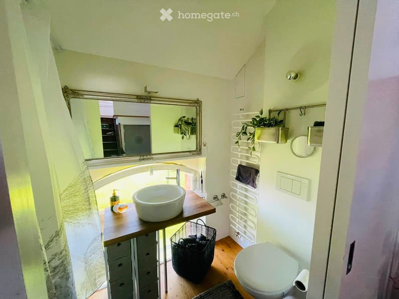 Cozy bathroom with a sink, mirror, toilet, towel rack, and small plant. Wooden floor and white walls.
